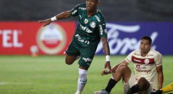Palmeiras tem aproveitamento de quase 70% com dupla no meio campo