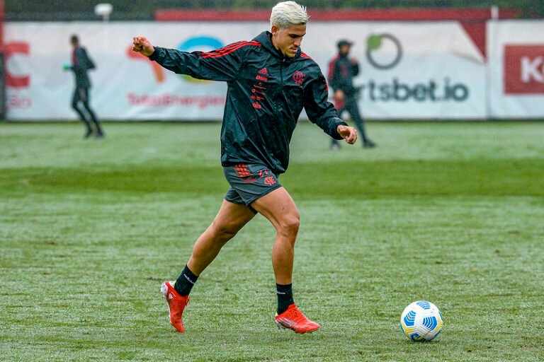 Pedro Flamengo