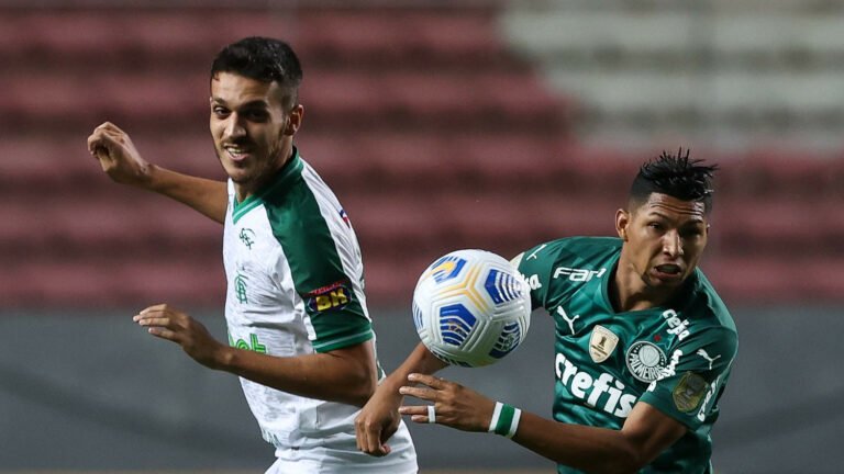 Palmeiras chega a sua oitava derrota no Brasileirão e perde vice-liderança