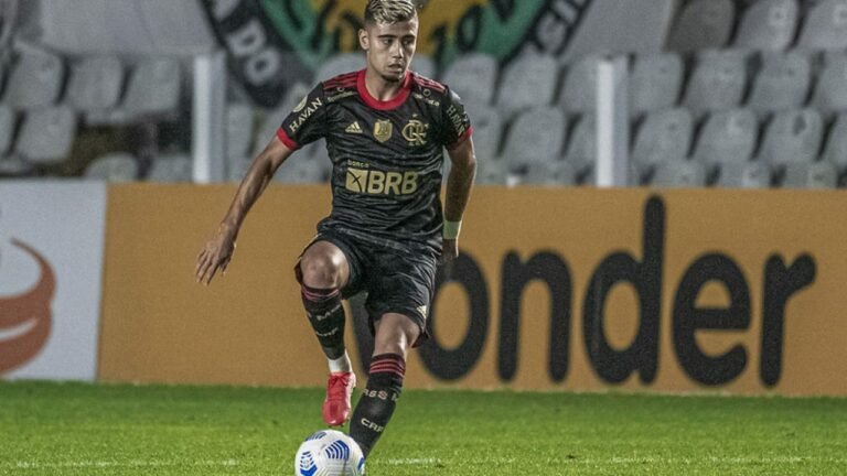 STJD adia decisão do ‘Caso Andreas’ envolvendo Flamengo e Santos