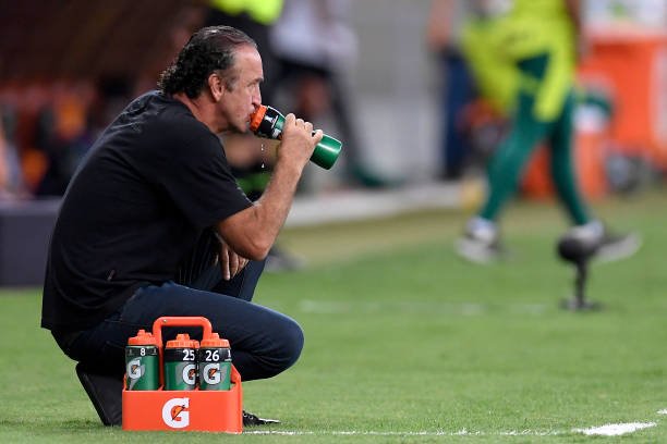 Pelo Atlético-MG, Cuca busca primeiro título e final da Copa do Brasil