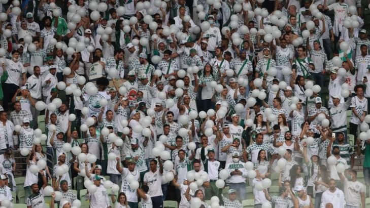 Palmeiras começa venda de ingressos para jogo contra Sport; Confira valores