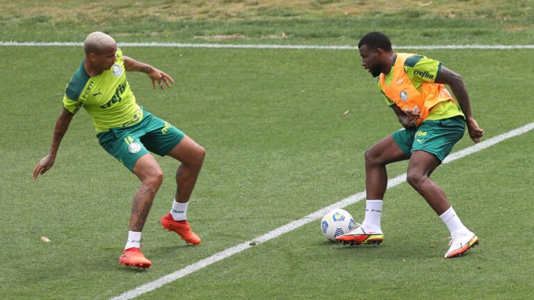 Palmeiras inicia treinamentos para enfrentar América-MG
