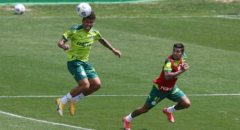 Palmeiras tem volta de cinco titulares para jogo contra Internacional