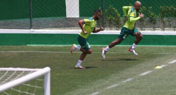 Palmeiras deve ter retornos importantes em jogo contra o Fluminense