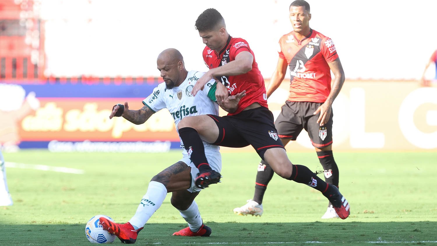 Contra Atlético-GO, Palmeiras Vai Fazer Primeiro Jogo Com 100% Da ...