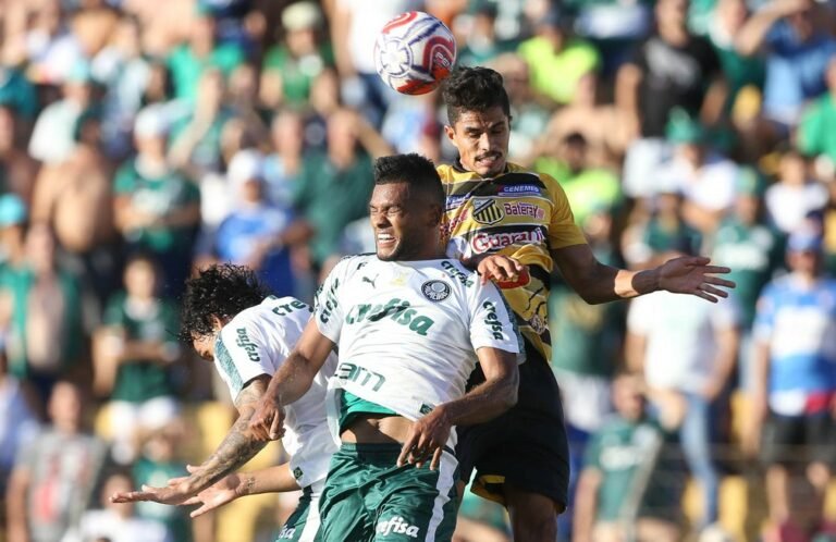 Palmeiras e Novorizontino brincam após não caírem no mesmo grupo do Paulistão