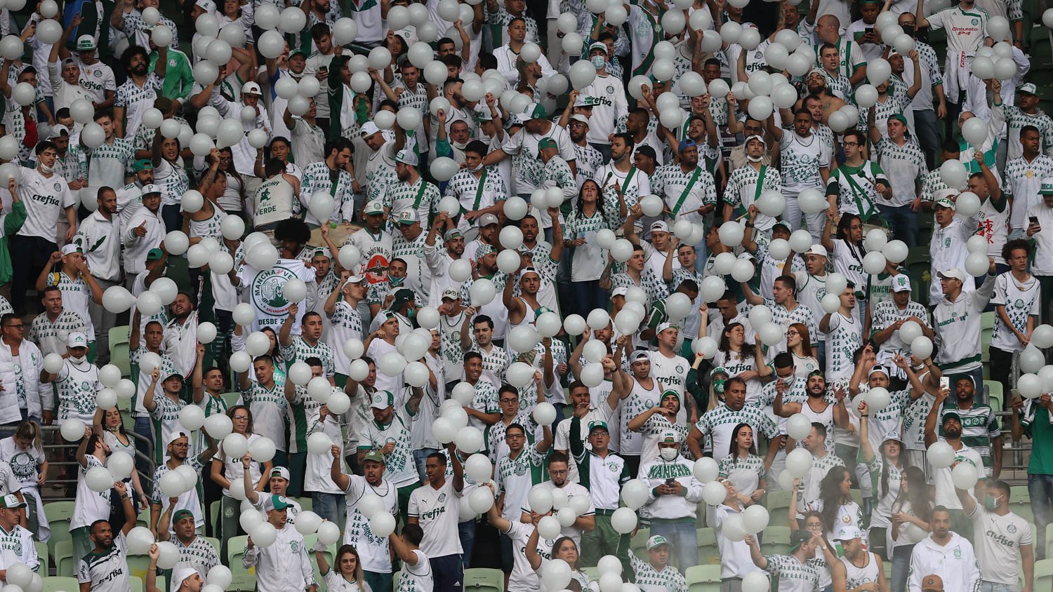 Palmeiras volta a atingir marca importante no número de sócios-torcedores