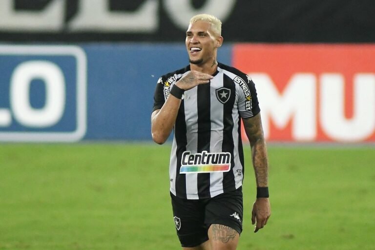 Palmeiras faz proposta para contratar Rafael Navarro, do Botafogo; veja os valores