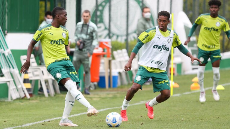 Palmeiras se prepara para último jogo do Brasileirão