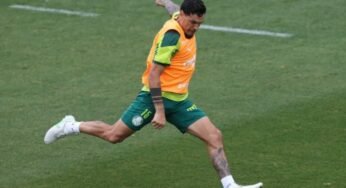 Suspenso na Seleção Paraguaia, Gómez se reapresentará ao Palmeiras antes do previsto