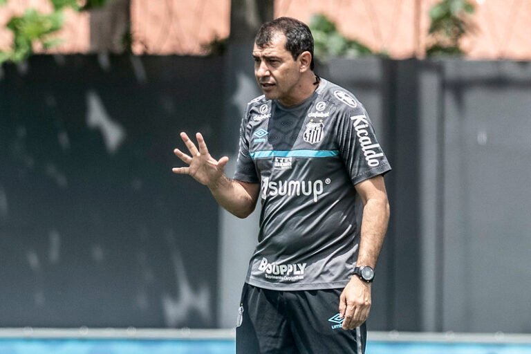 Após demissão, Carille se despede do Santos: “Grato pela oportunidade”