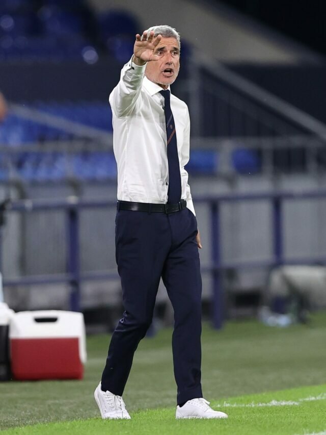 Conheça Luís Castro, técnico disputado por Botafogo e Corinthians