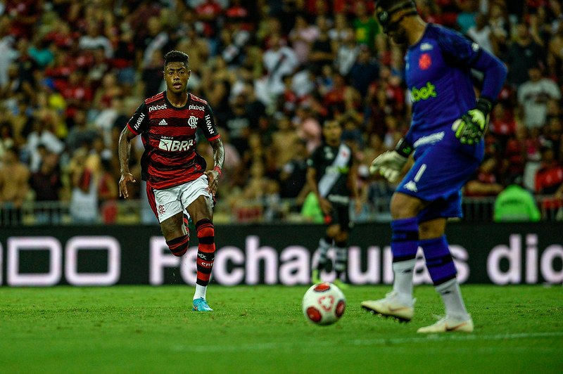 51942813916_2001be547e_c