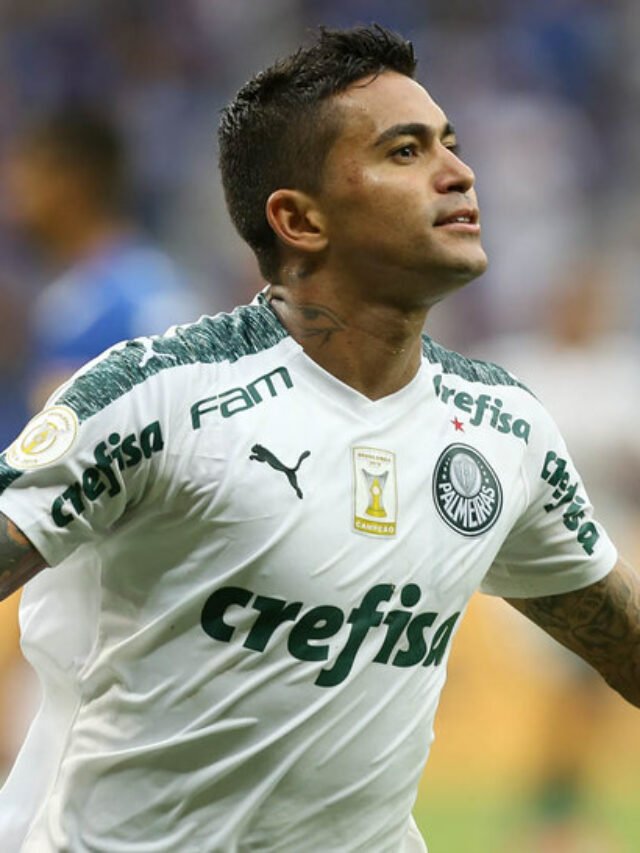 cropped-dudu_palmeiras.jpg