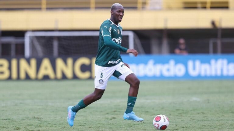 Palmeiras aceita proposta e encaminha venda de Patrick de Paula ao Botafogo