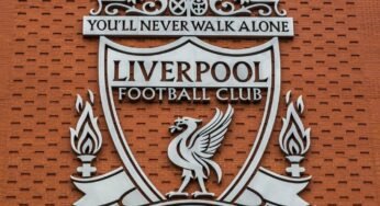Grupo dono do Liverpool planeja comprar clube no Brasil