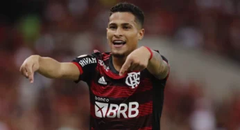 João Gomes volta ao radar do Atlético de Madrid, diz jornal espanhol