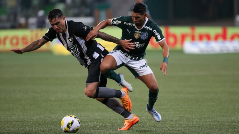 Palmeiras goleia Botafogo e retoma liderança do Campeonato Brasileiro