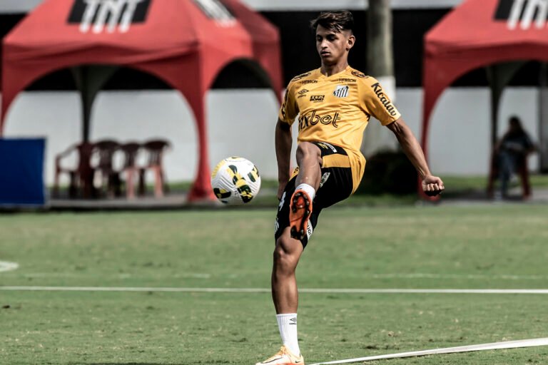 Marcelo Fernandes promove quatro atletas da base para treino do Santos; veja nomes