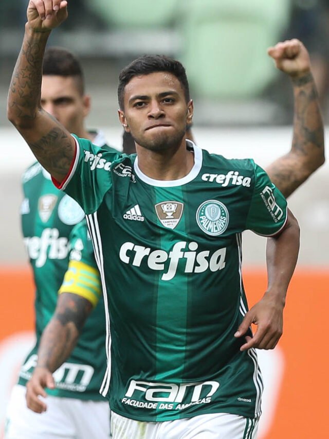 cropped-20160807_cgap_palmeiras_9870_63.jpg