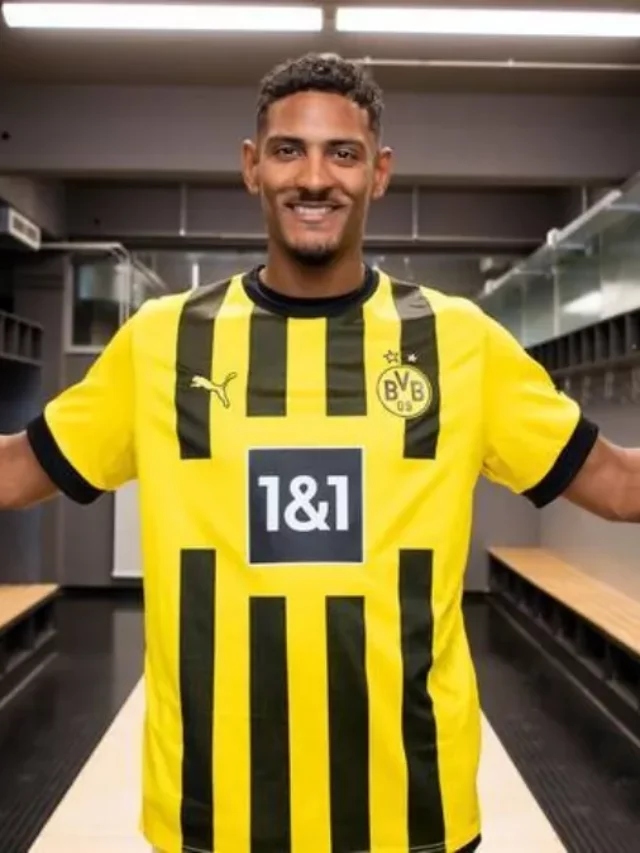 cropped-haller_bvb.jpg_1586514572.webp