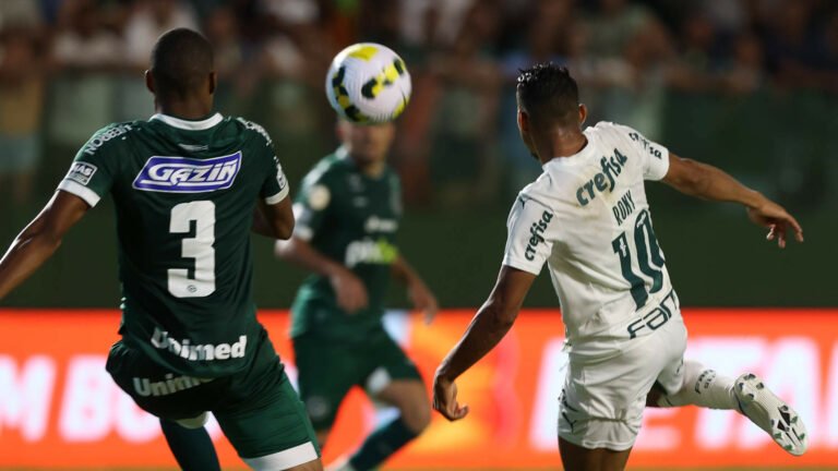Palmeiras x Goiás: Tudo que o palmeirense precisa saber