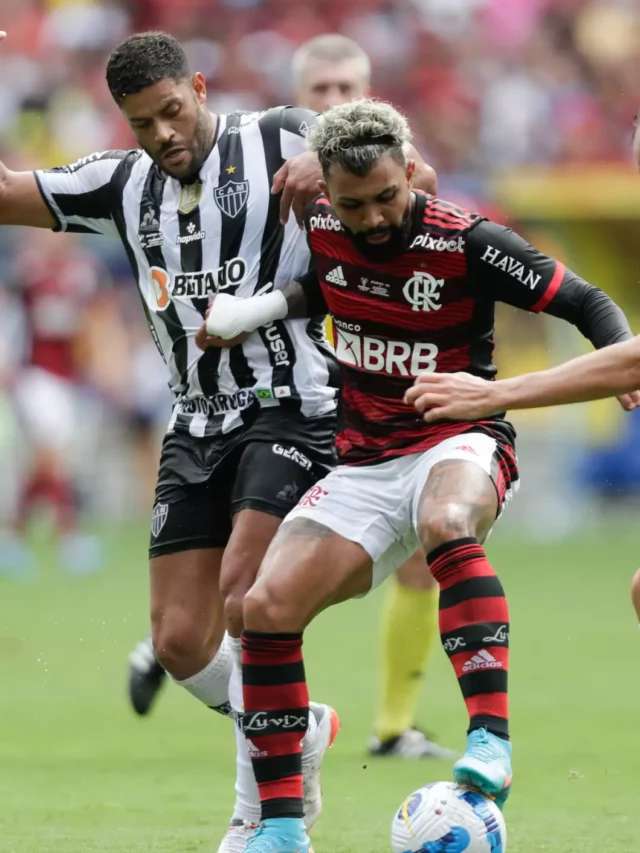 51894413202_f1a50c2876_k-qdyajflm4k6t