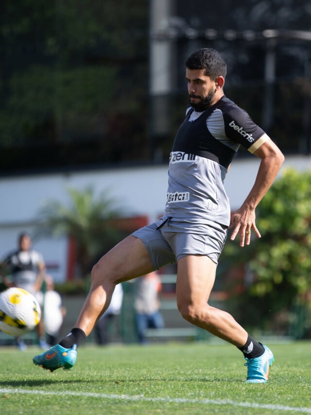 52265555344_439e7825a2_k