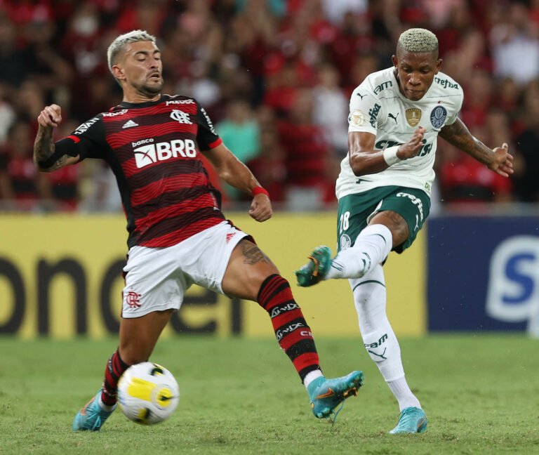 Palmeiras x Flamengo: tudo que o palmeirense precisa saber