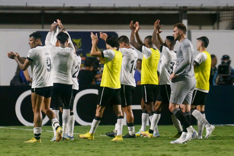 Botafogo terá dois importantes desfalques contra o Palmeiras