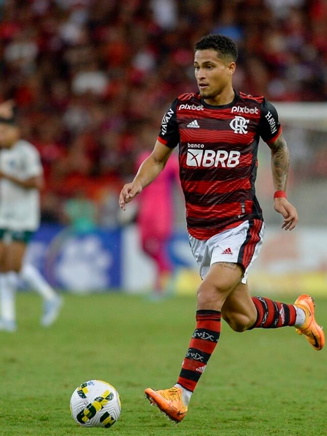 cropped-6e61791a-joao-gomes-ja-atuou-em-19-jogos-pelo-flamengo-na-temporada.jpg
