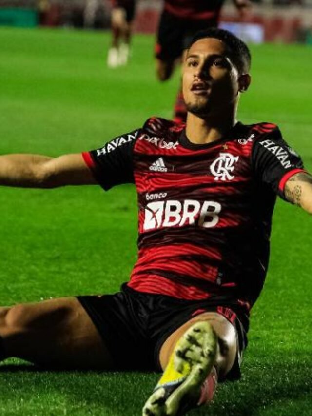 joao-gomes-do-flamengo-comemora-gol-contra-o-sao-paulo-pela-copa-do-brasil-1661390015528_v2_450x450