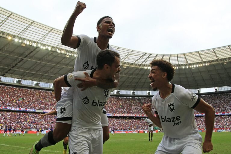 Veja a porcentagem de rebaixamento do Botafogo no Brasileirão após a 25º rodada