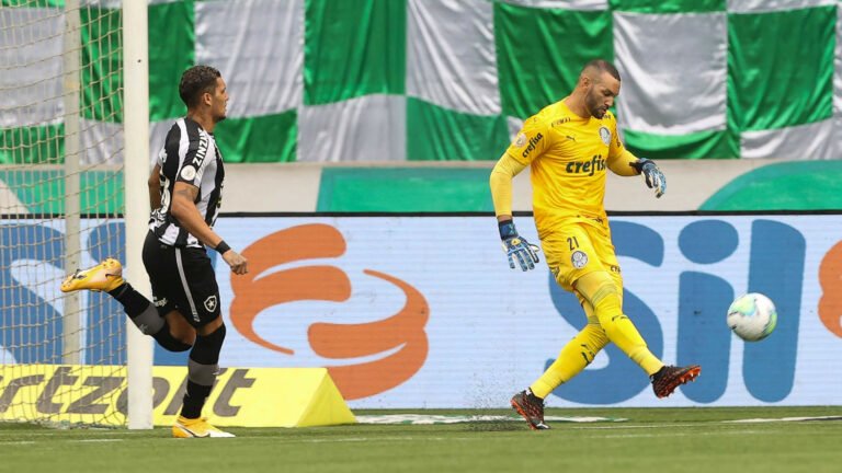 Botafogo x Palmeiras: tudo que o palmeirense precisa saber