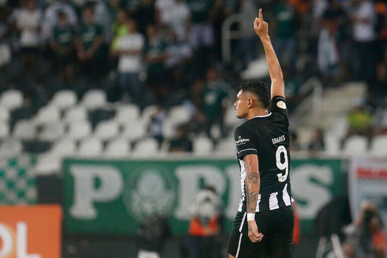 Botafogo entra em campo com 49,6% de chance de ser campeão brasileiro