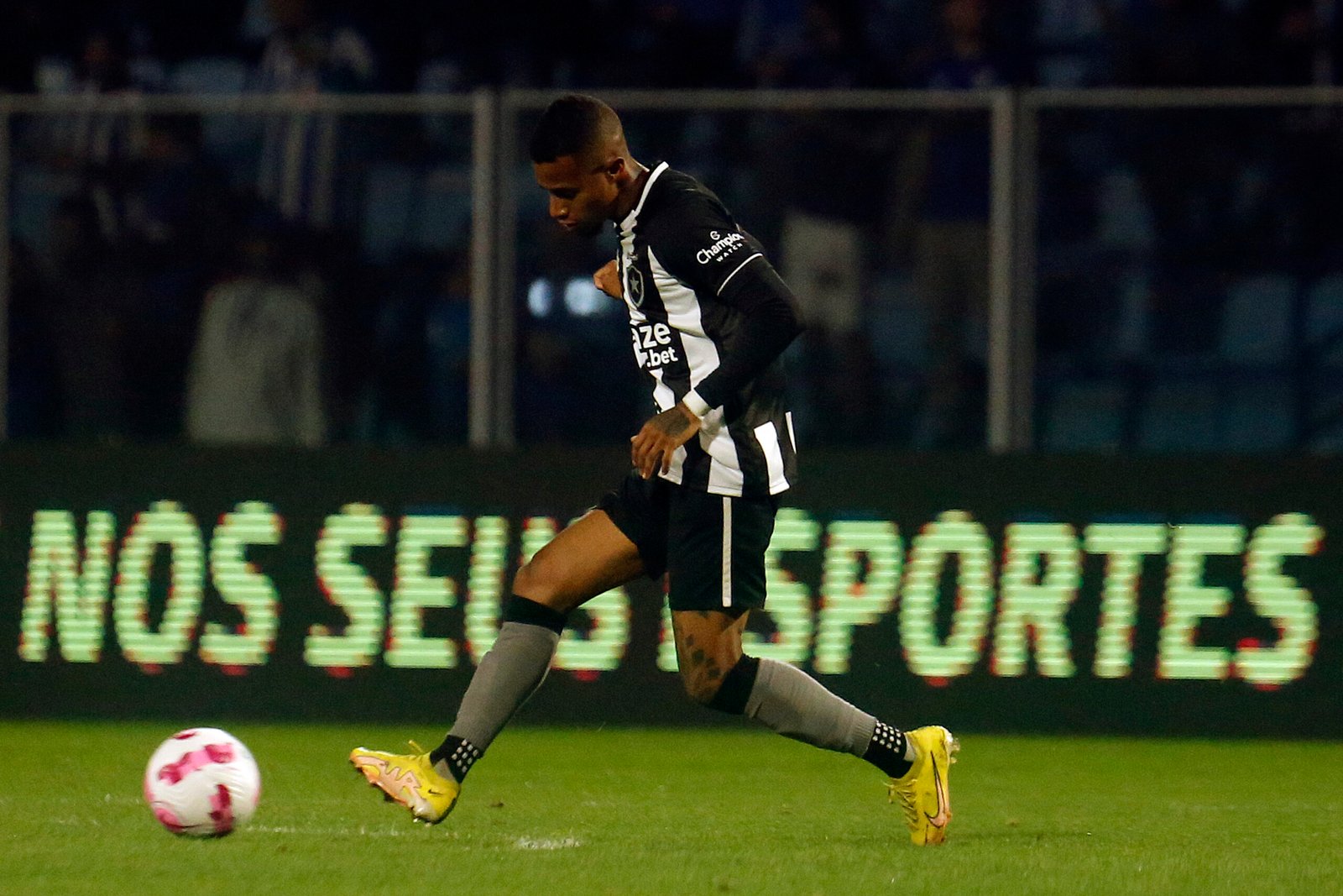 52409439367_7c062c6b73_o