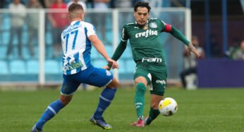 Palmeiras x Avaí: tudo que o palmeirense precisa saber