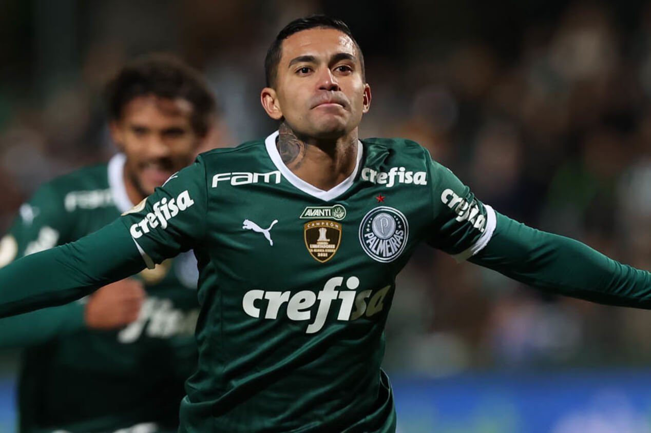 dudu-palmeiras-1