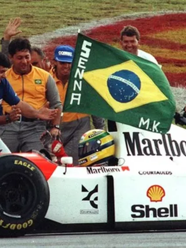 ayrtonsenna_1993_ae_edugarcia