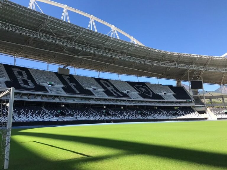 Estádio Nilton Santos, do Botafogo, pode ter mesmo gramado do Allianz Parque, do Palmeiras