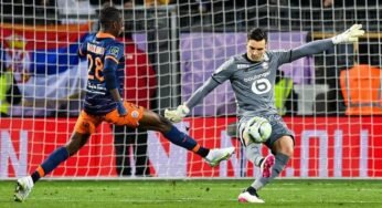 Lille aceita proposta do Vasco por Léo Jardim