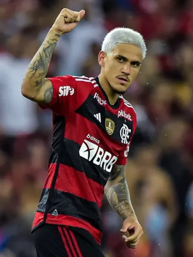 pedro-celebra-gol-do-flamengo-sobre-o-boavista-em-jogo-do-campeonato-carioca-1675302977838_v2_450x600.jpg