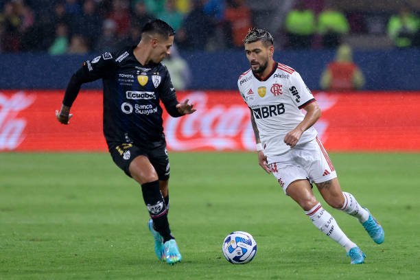 Alguns jogadores titulares do Flamengo querem viajar para encarar o Botafogo