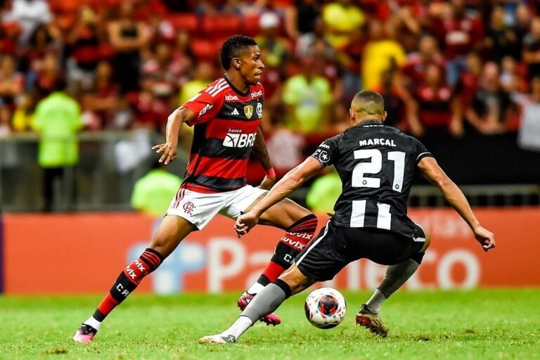 Flamengo recusa proposta do Avaí por joia da base
