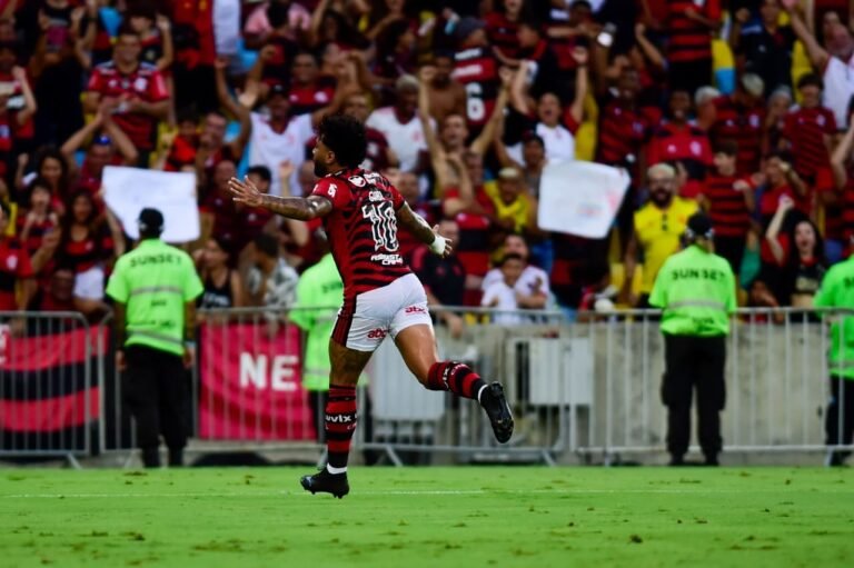 Flamengo é a equipe com maior média de público em 2023