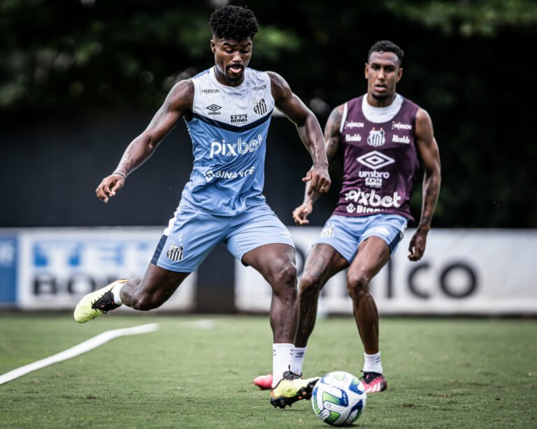 O zagueiro Eduardo Bauermann cumpre suspensão imposta pelo STJD e não deve ser incorporado no Santos.