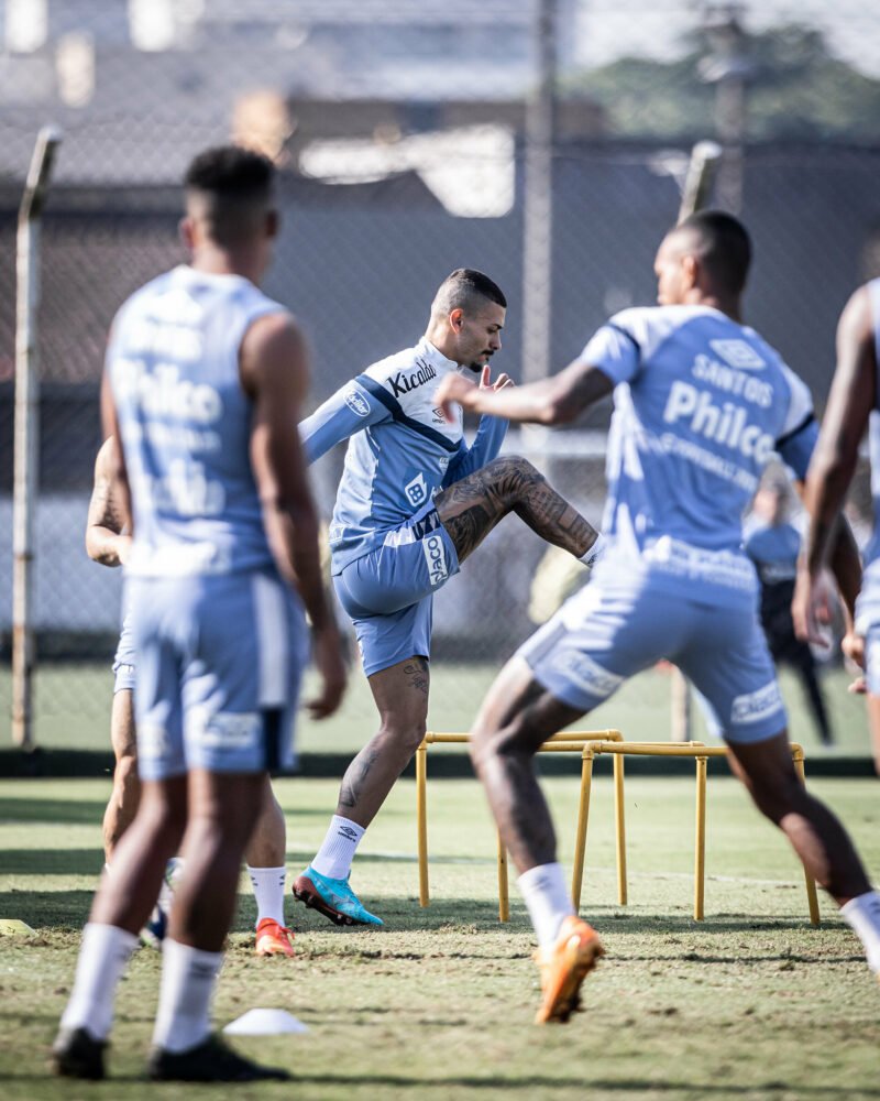 Com a eliminação da Sul-Americana, o Santos tem apenas o Campeonato Brasileiro, até o final da temporada.