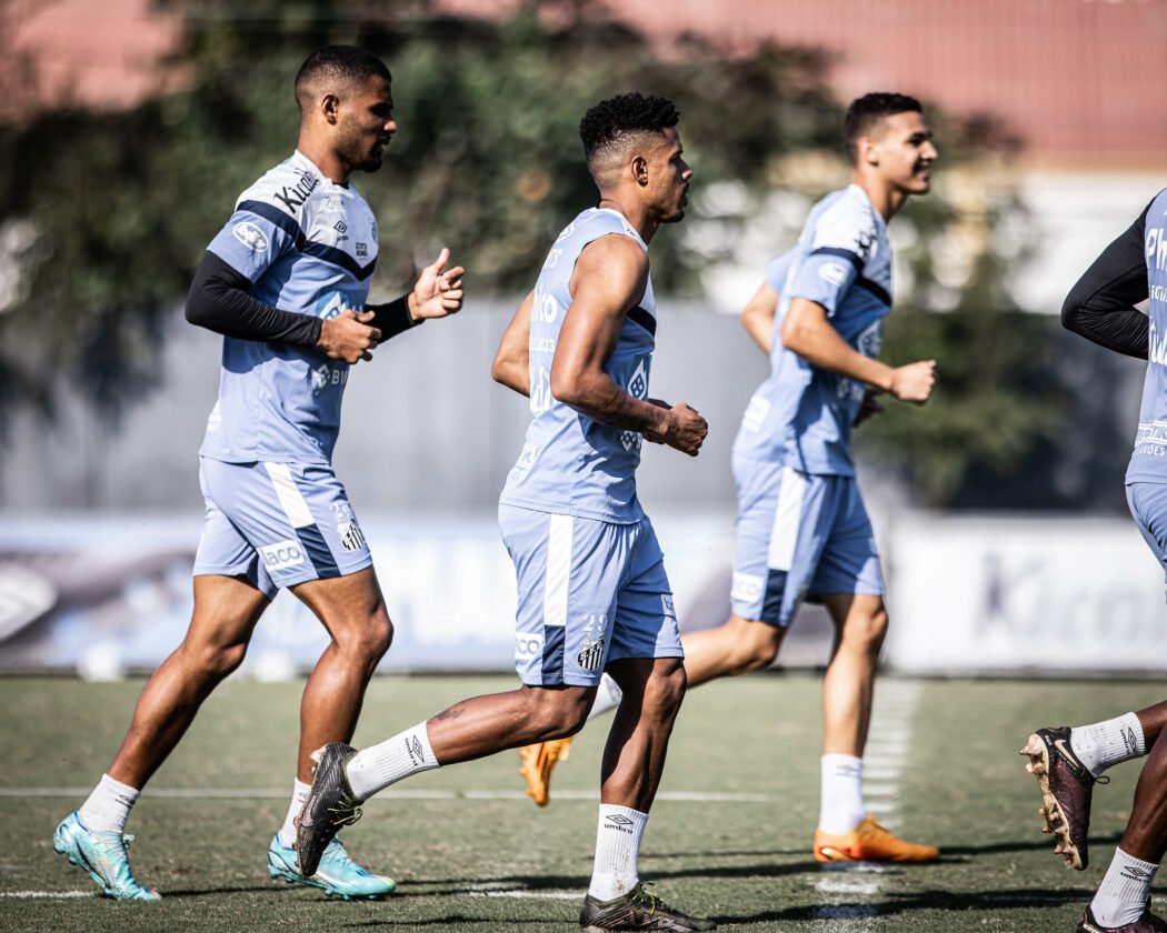 Com apenas o Brasileirão, Santos quer voltar a vencer, para se manter na parte de cima da tabela.