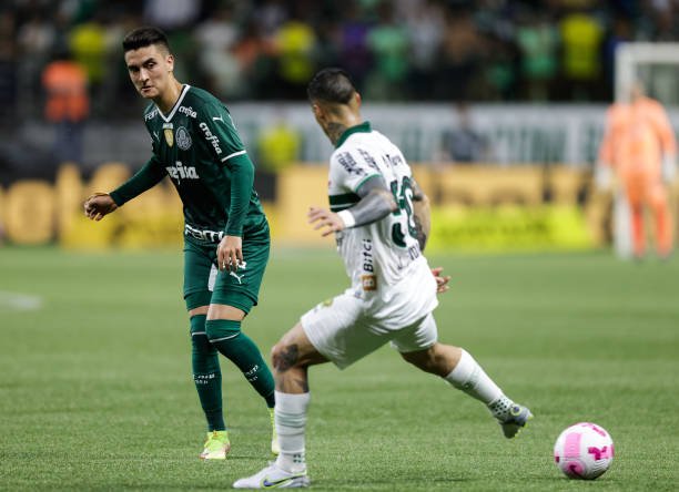 Palmeiras confia em retrospecto positivo contra o Coritiba para voltar a vencer no Brasileirão